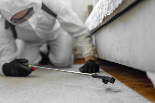 Professional Pest Control technician working in Coleraine, MN